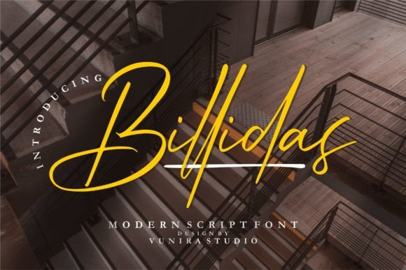 Billidas: The Script Font That Elevates Your Campaigns