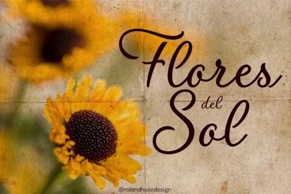 Flores Del Sol: The Perfect Script Typeface for Editorial Design