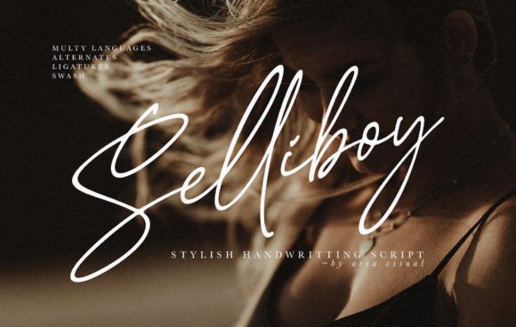 Selliboy: A Modern Script Font for Web Design